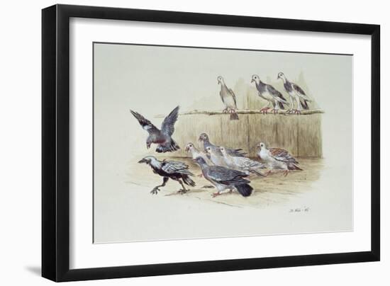 The Jackdaw and the Doves-Randolph Caldecott-Framed Giclee Print