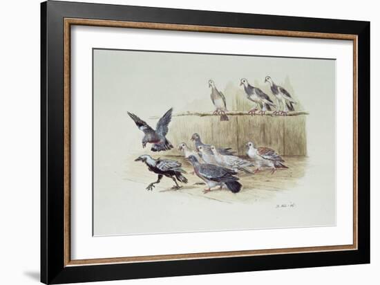 The Jackdaw and the Doves-Randolph Caldecott-Framed Giclee Print