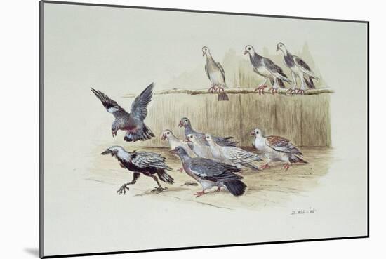 The Jackdaw and the Doves-Randolph Caldecott-Mounted Giclee Print