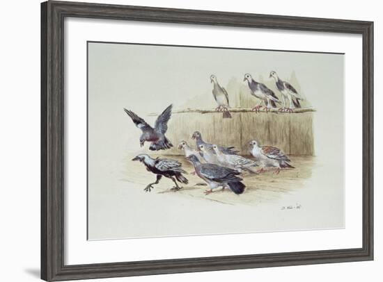 The Jackdaw and the Doves-Randolph Caldecott-Framed Giclee Print