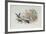 The Jackdaw and the Doves-Randolph Caldecott-Framed Giclee Print