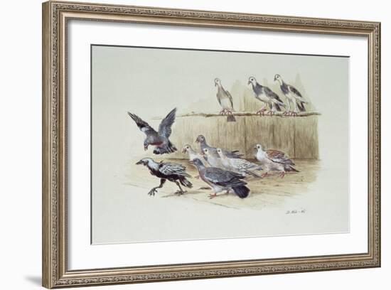 The Jackdaw and the Doves-Randolph Caldecott-Framed Giclee Print