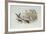 The Jackdaw and the Doves-Randolph Caldecott-Framed Giclee Print