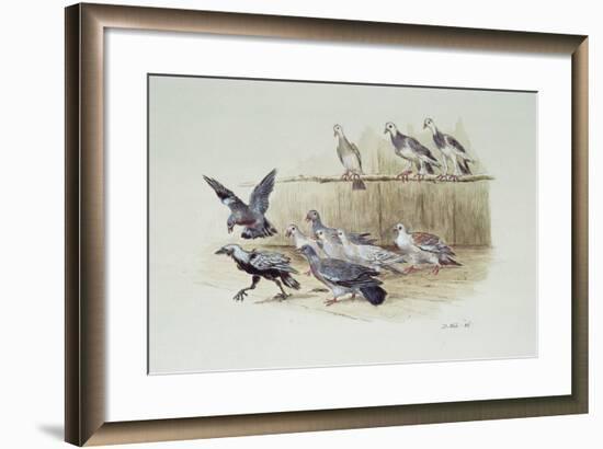 The Jackdaw and the Doves-Randolph Caldecott-Framed Giclee Print