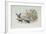 The Jackdaw and the Doves-Randolph Caldecott-Framed Giclee Print