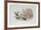 The Jackdaw and the Doves-Randolph Caldecott-Framed Giclee Print