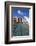 The James Joyce Bridge across the River Liffey (2003)-null-Framed Photographic Print