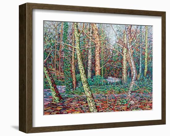 The January Path-Noel Paine-Framed Giclee Print