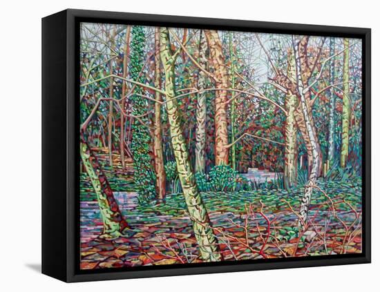 The January Path-Noel Paine-Framed Premier Image Canvas