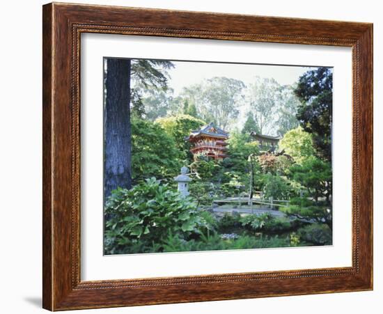 The Japanese Tea Garden, Golden Gate Park, San Francisco, California, USA-Fraser Hall-Framed Photographic Print