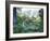 The Japanese Tea Garden, Golden Gate Park, San Francisco, California, USA-Fraser Hall-Framed Photographic Print