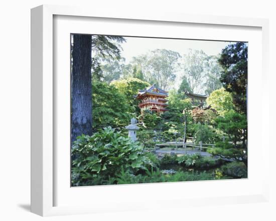 The Japanese Tea Garden, Golden Gate Park, San Francisco, California, USA-Fraser Hall-Framed Photographic Print