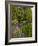 The Jardins Des Prebendes D'Oe, Tours, Indre Et Loire, Centre, France, Europe-Julian Elliott-Framed Photographic Print