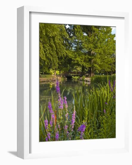 The Jardins Des Prebendes D'Oe, Tours, Indre Et Loire, Centre, France, Europe-Julian Elliott-Framed Photographic Print