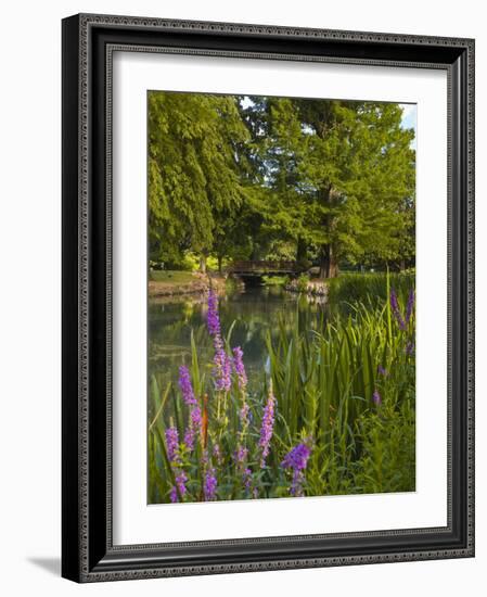 The Jardins Des Prebendes D'Oe, Tours, Indre Et Loire, Centre, France, Europe-Julian Elliott-Framed Photographic Print