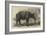 The Javan Rhinoceros (Rhinoceros Sondaicus) at the Zoological Gardens-null-Framed Giclee Print