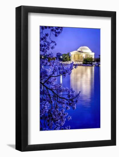 The Jefferson Memorial with cherry blossoms at the Tidal Basin, Washington DC-William Perry-Framed Photographic Print