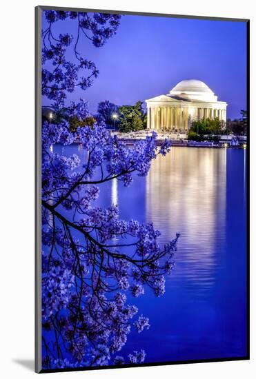 The Jefferson Memorial with cherry blossoms at the Tidal Basin, Washington DC-William Perry-Mounted Photographic Print
