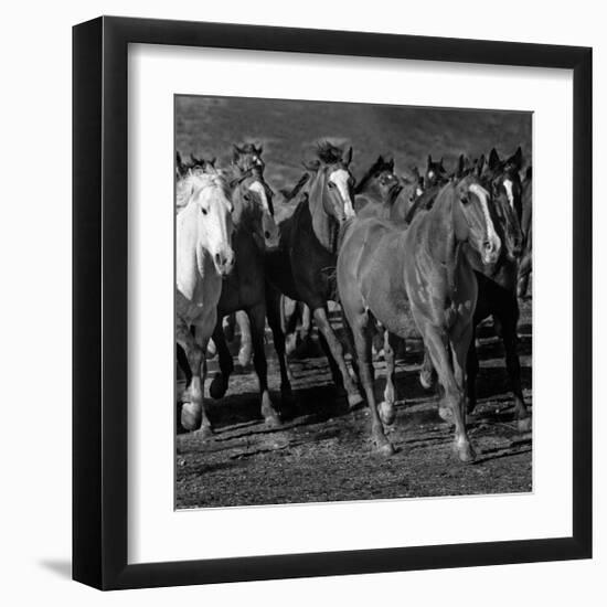 The Jets-Wendy Caro-Framed Giclee Print