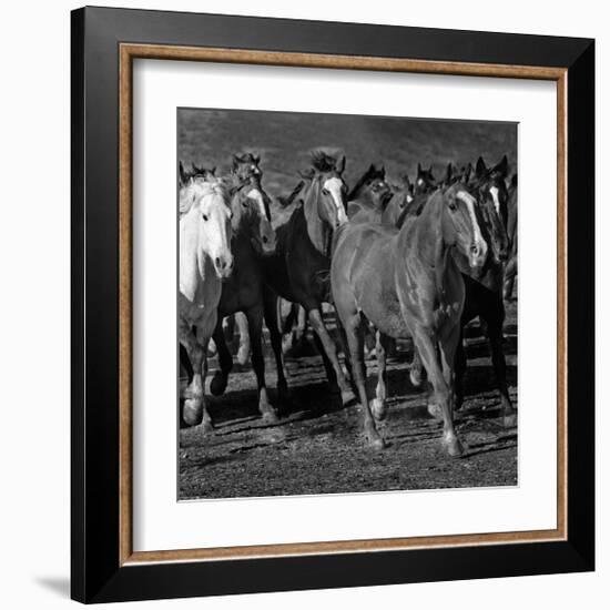 The Jets-Wendy Caro-Framed Giclee Print