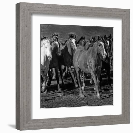 The Jets-Wendy Caro-Framed Giclee Print