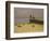 The Jetty at Honfleur, 1920-F?lix Vallotton-Framed Giclee Print