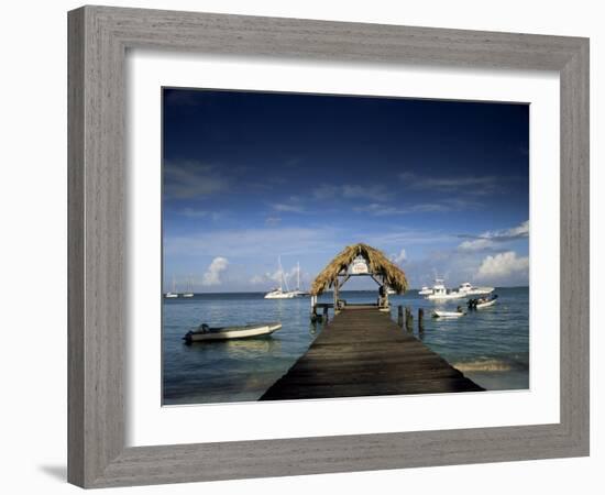 The Jetty, Pigeon Point, Tobago, West Indies, Caribbean, Central America-Julia Bayne-Framed Photographic Print