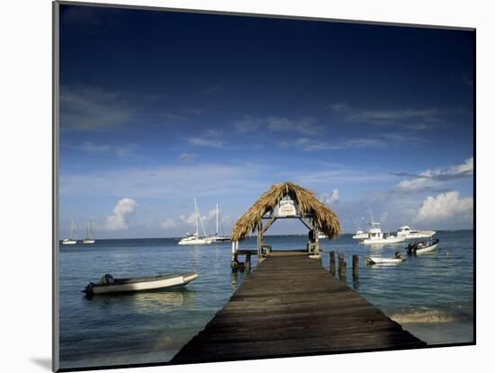 The Jetty, Pigeon Point, Tobago, West Indies, Caribbean, Central America-Julia Bayne-Mounted Photographic Print