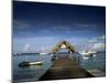The Jetty, Pigeon Point, Tobago, West Indies, Caribbean, Central America-Julia Bayne-Mounted Photographic Print