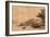 The Jetty-Rembrandt van Rijn-Framed Giclee Print