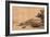 The Jetty-Rembrandt van Rijn-Framed Giclee Print