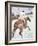 The Jockey, 1899-Henri de Toulouse-Lautrec-Framed Giclee Print