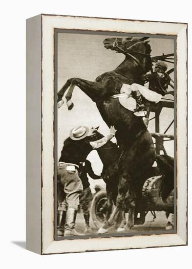 The Jockey Herbert Loses Control of His Horse at the Start of a Race in New York-null-Framed Premier Image Canvas