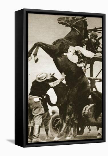 The Jockey Herbert Loses Control of His Horse at the Start of a Race in New York-null-Framed Premier Image Canvas