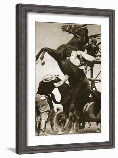 The Jockey Herbert Loses Control of His Horse at the Start of a Race in New York-null-Framed Giclee Print