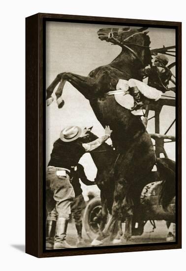 The Jockey Herbert Loses Control of His Horse at the Start of a Race in New York-null-Framed Giclee Print