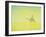 The Journey, 1993-Tilly Willis-Framed Giclee Print