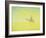 The Journey, 1993-Tilly Willis-Framed Giclee Print