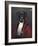 The Judge-Thierry Poncelet-Framed Premium Giclee Print