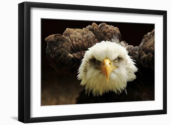 The Judge-Tim Kirwan-Framed Giclee Print