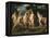 The Judgement of Paris, Ca 1606-Peter Paul Rubens-Framed Premier Image Canvas