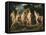 The Judgement of Paris, Ca 1606-Peter Paul Rubens-Framed Premier Image Canvas