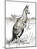 'The Kangaroo', 1912-Charles Robinson-Mounted Giclee Print