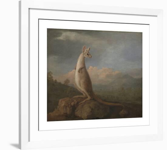 The Kangaroo from New Holland-George Stubbs-Framed Premium Giclee Print