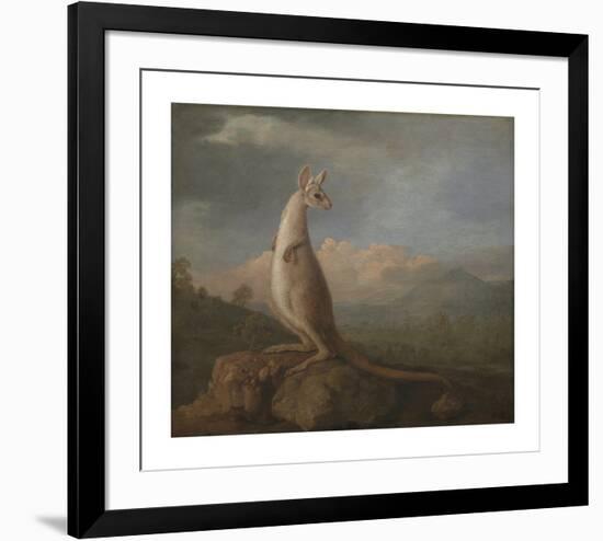 The Kangaroo from New Holland-George Stubbs-Framed Premium Giclee Print