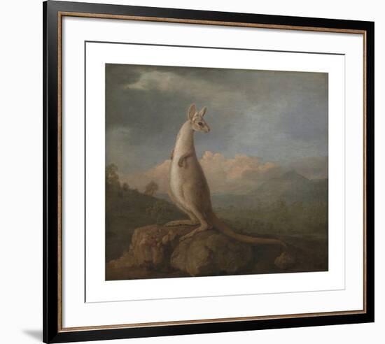 The Kangaroo from New Holland-George Stubbs-Framed Premium Giclee Print