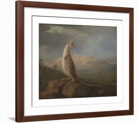 The Kangaroo from New Holland-George Stubbs-Framed Premium Giclee Print