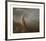 The Kangaroo from New Holland-George Stubbs-Framed Premium Giclee Print