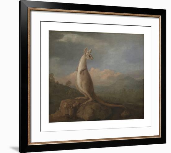 The Kangaroo from New Holland-George Stubbs-Framed Premium Giclee Print
