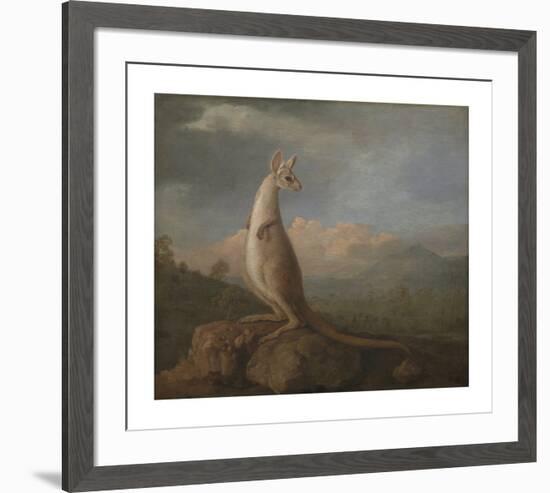 The Kangaroo from New Holland-George Stubbs-Framed Premium Giclee Print